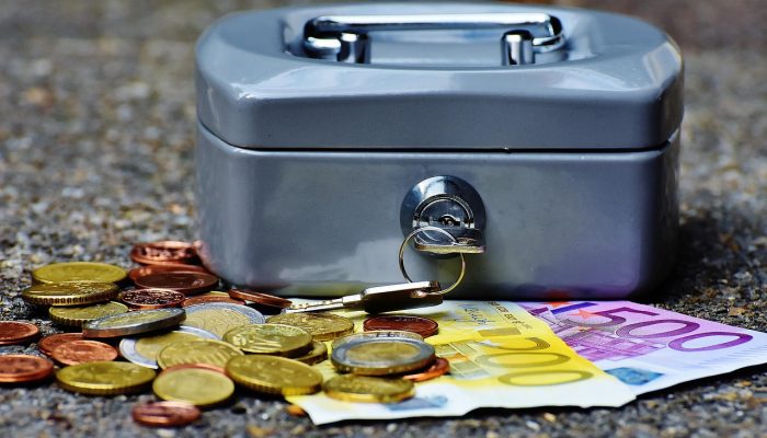 Rahasia Bertahan Hidup di Tengah Efisiensi Anggaran Negara, Nomor 7 Wajib Dicoba!