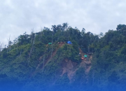 Tambang Tanpa Izin Hutan Ditertibkan, 321 Hektare Lahan Dikembalikan Negara