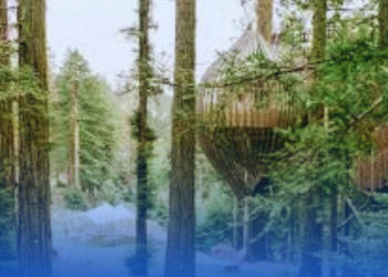 Pondok Pohon di Rotorua New Zealand