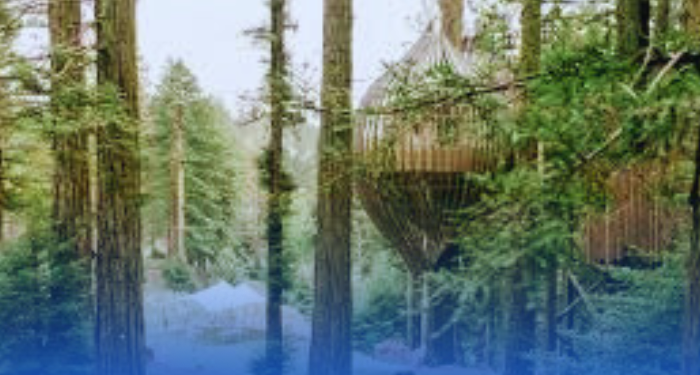 Pondok Pohon di Rotorua New Zealand