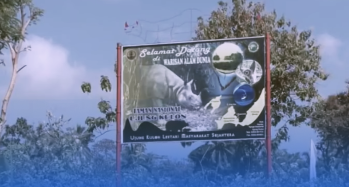 Serunya Bertemu Satwa Langka di Taman Nasional Ujung Kulon