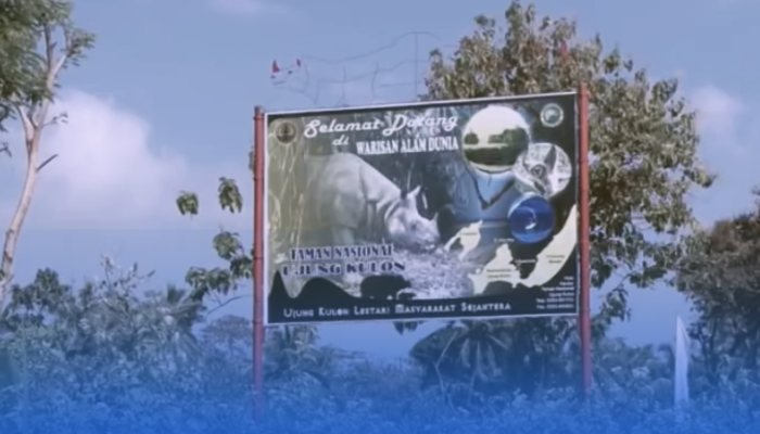 Serunya Bertemu Satwa Langka di Taman Nasional Ujung Kulon