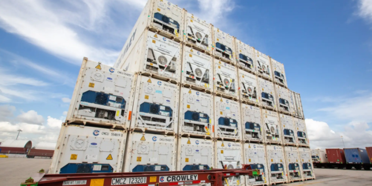 Cold Chain Jadi Kunci Rantai Pasok Ikan Segar