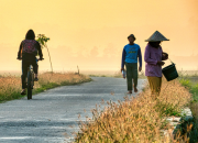 Desa & Pengangguran Tersembunyi: Jaminan Ekonomi yang Belum Menyentuh Akar Rumput