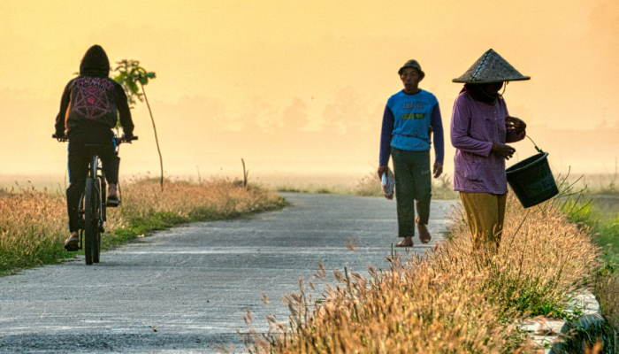 Desa & Pengangguran Tersembunyi : Jaminan Ekonomi yang Belum Menyentuh Akar Rumput