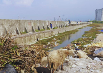 Pemda DKI Jakarta Tanggani Tanggul Bocor di Jakarta Utara