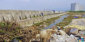 Pemda DKI Jakarta Tanggani Tanggul Bocor di Jakarta Utara