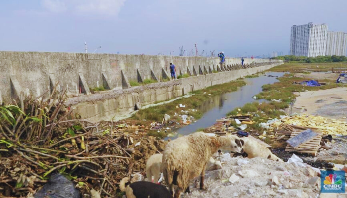 Pemda DKI Jakarta Tanggani Tanggul Bocor di Jakarta Utara
