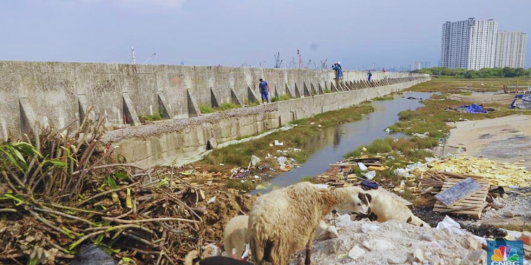 Pemda DKI Jakarta Tanggani Tanggul Bocor di Jakarta Utara