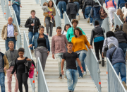 Terri Suganda, IMM Fokus: Kampanye Kesetaraan & Kebebasan Sipil