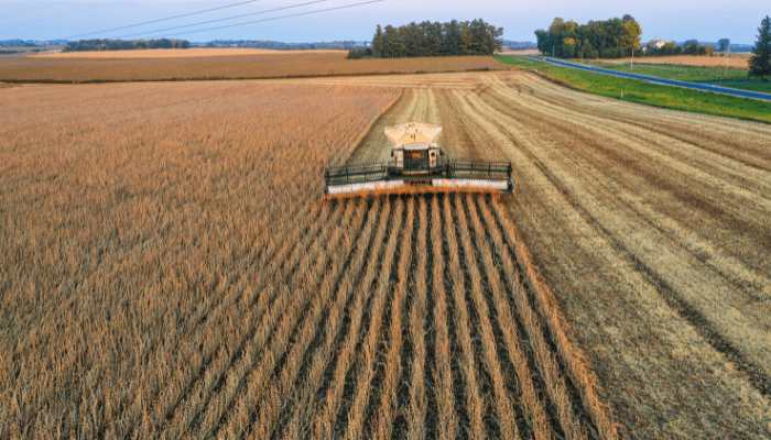 Agribisnis Modern Menjadi Jawaban Ketahanan Pangan Nasional