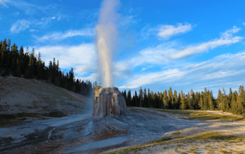 Yellowstone : Taman Nasional Tertua Dunia dan Lahirnya Gerakan Konservasi Global