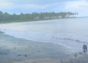Pantai Ciputih di Ujung Kulon