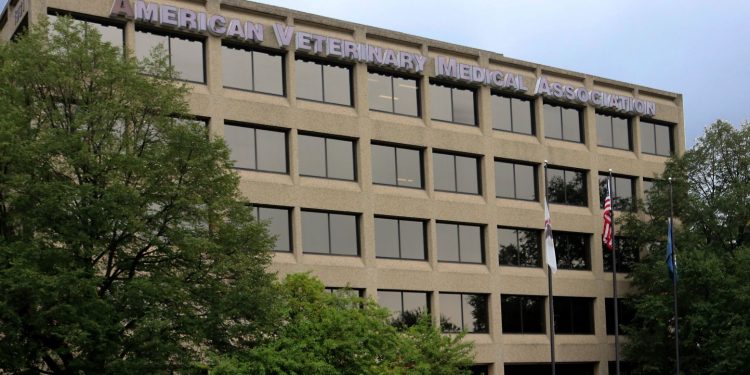 Slater menyatakan rasa terima kasih atas pengabdiannya, namun keputusannya mencerminkan perubahan fokus kebijakan antitrust yang lebih tajam dari pemerintahan saat ini.