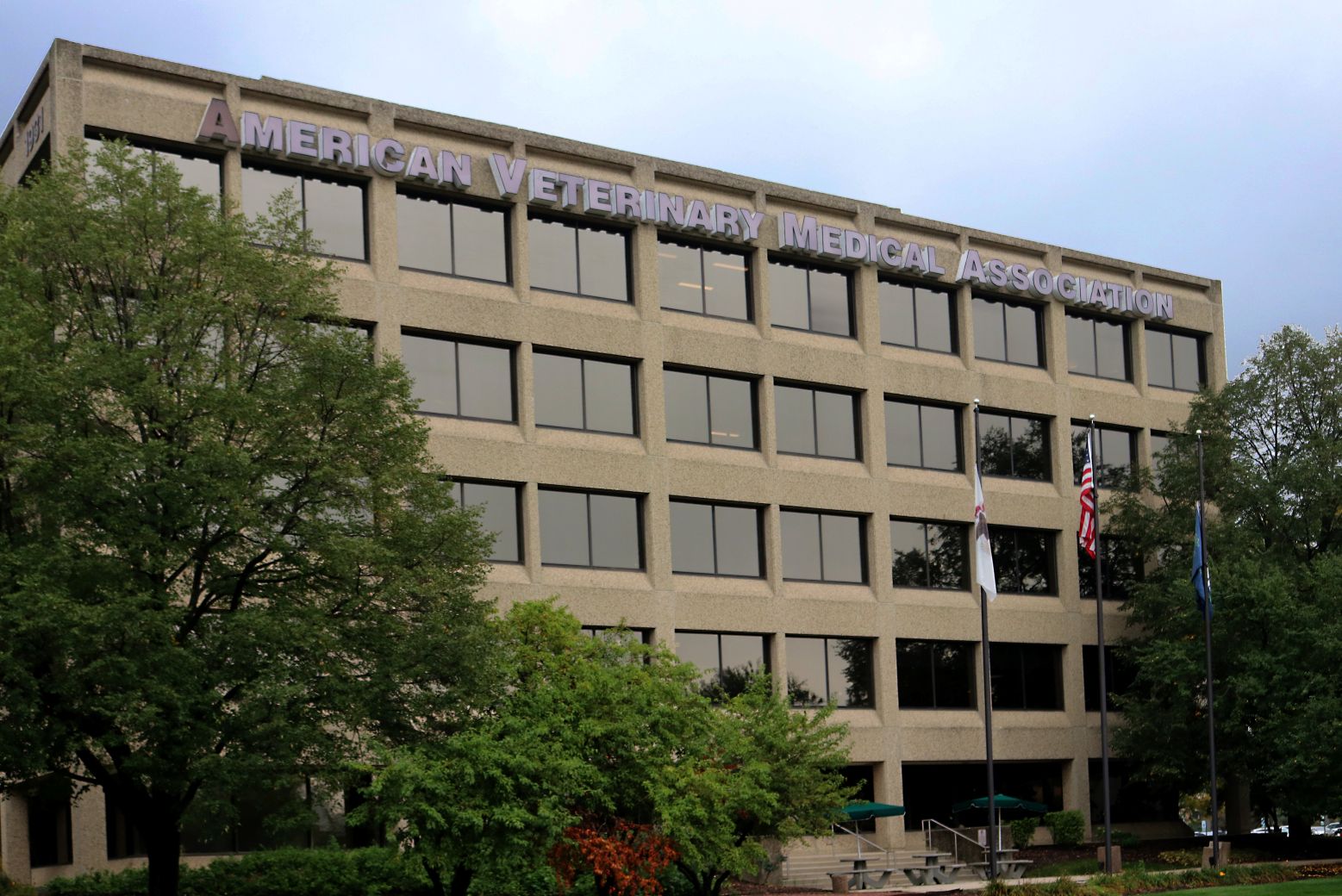 Slater menyatakan rasa terima kasih atas pengabdiannya, namun keputusannya mencerminkan perubahan fokus kebijakan antitrust yang lebih tajam dari pemerintahan saat ini.